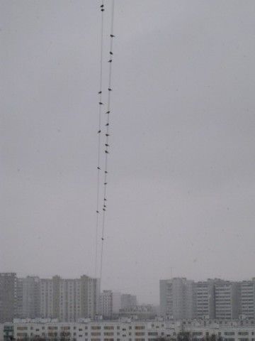 IMG 80888