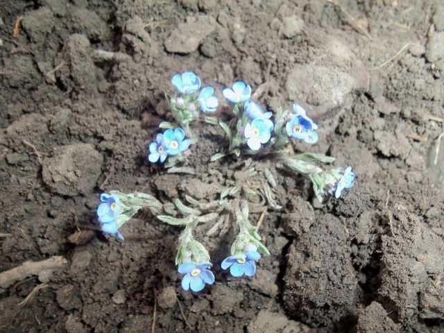 Изображение 048