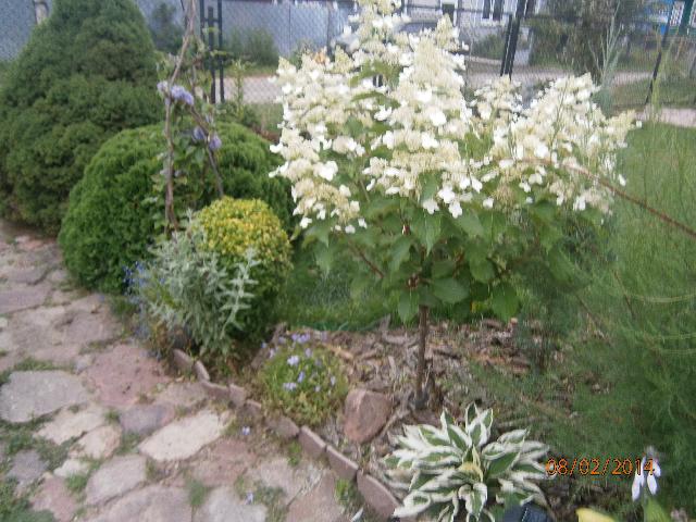 P8020422