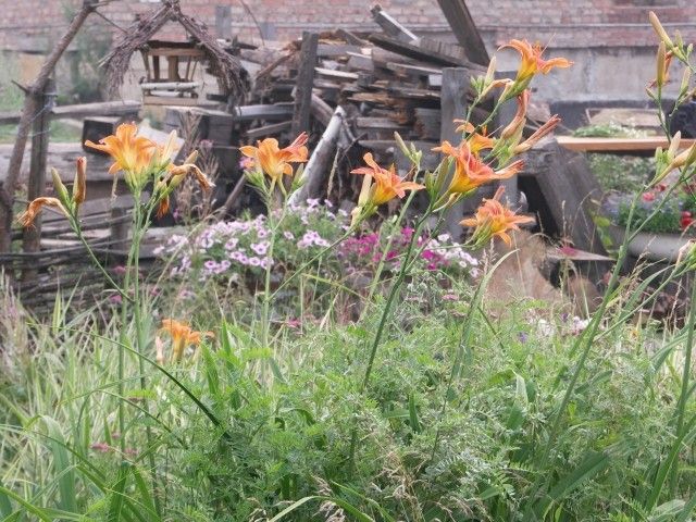 PICT0072