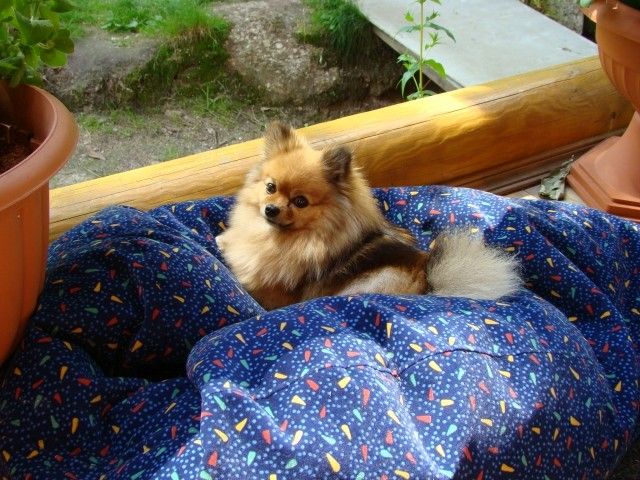 2013 06 21 001 112