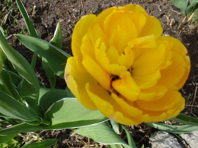 DSC00046