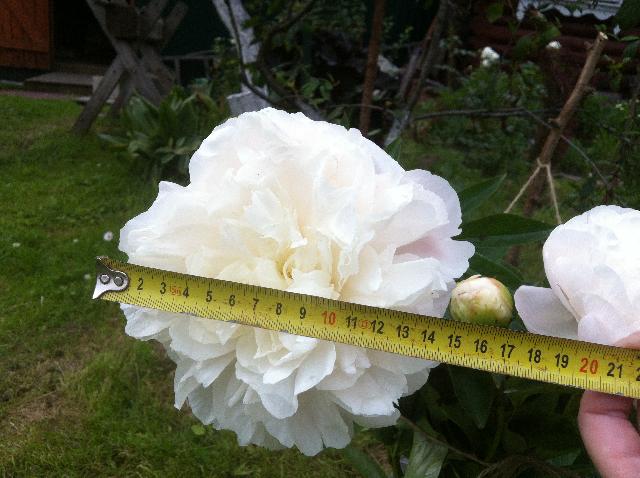 image 21 06 16 10 05 2