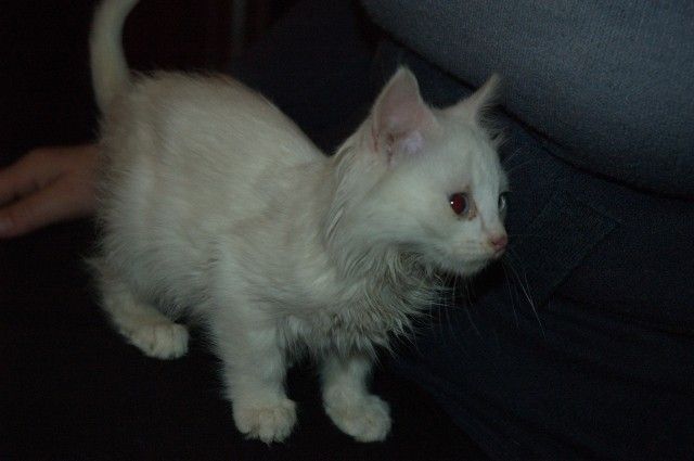 DSC 7981