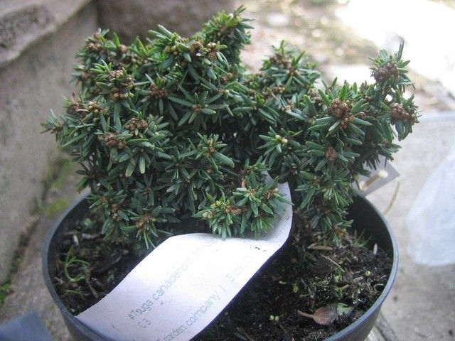 Изображение 067