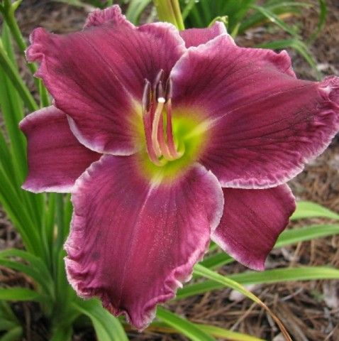 Clouds before the storm