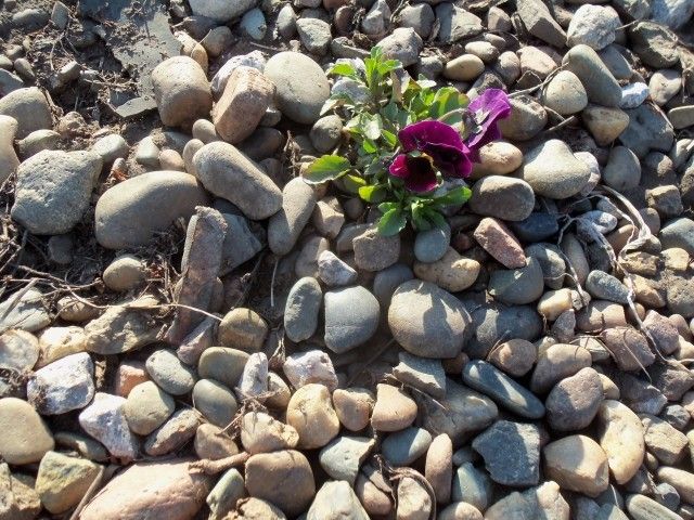 Изображение 002