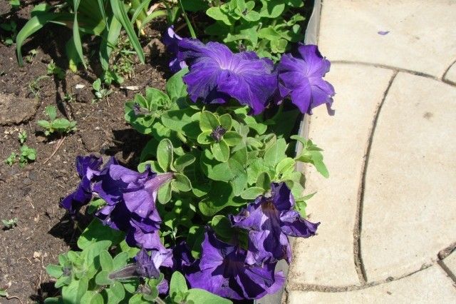 040