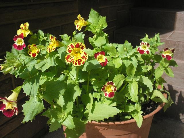 P1010670