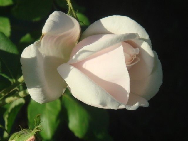 DSC00112