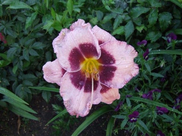 DSCF5513