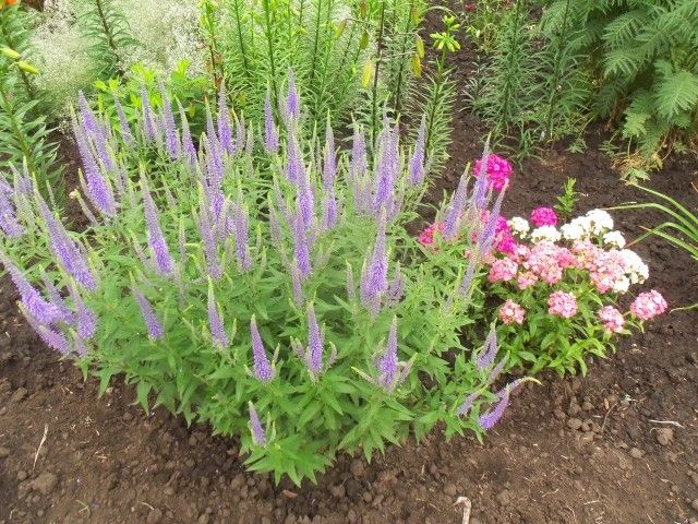 Изображение 054