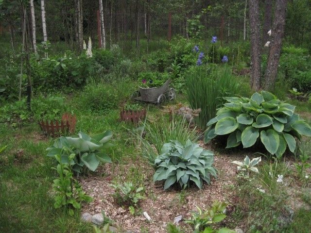 IMG 0744