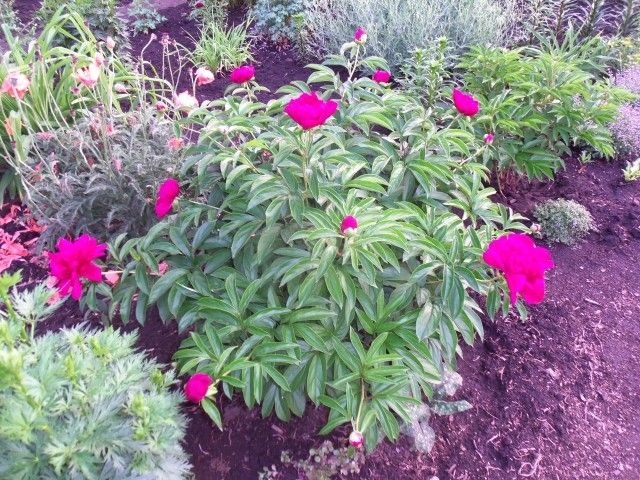 Изображение 050