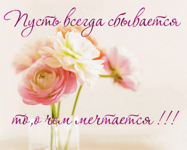с днем рождения Плюшкину