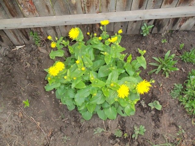 Изображение 044