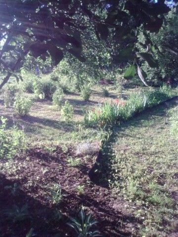 Ягодное местечко