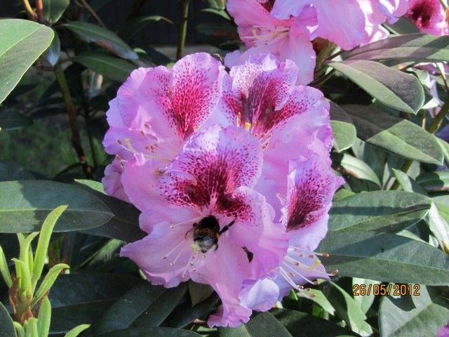 042