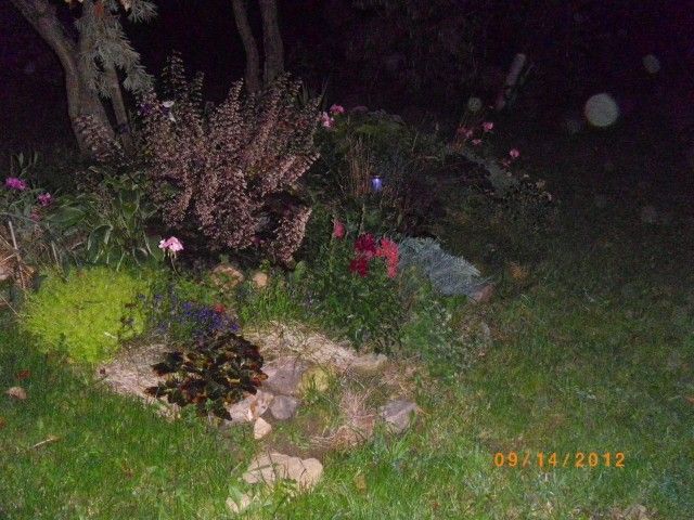 IMGP4438