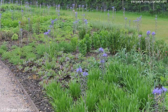 0 163c72 5be43776 orig