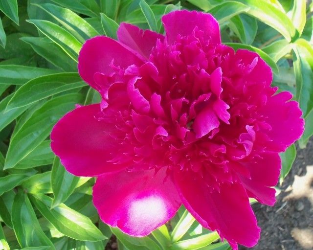 Изображение 058