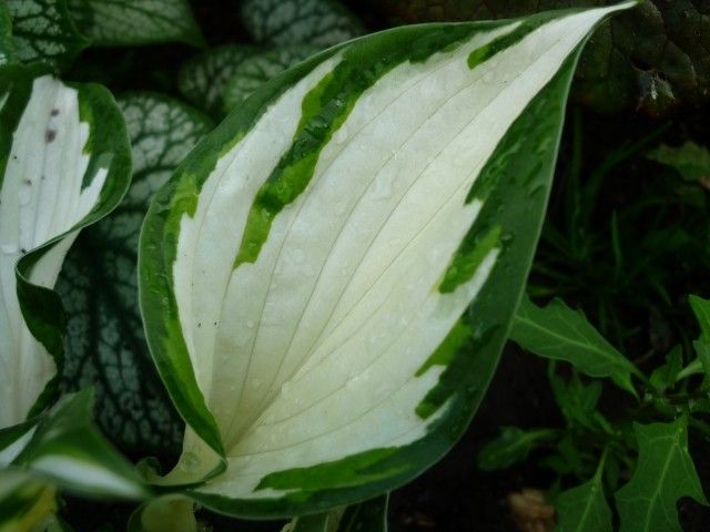 P1040611