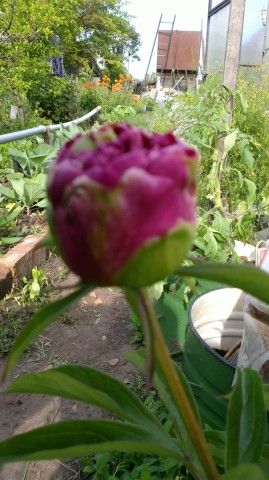 2013 07 04 0309