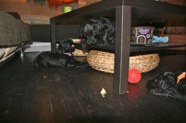 IMG 3670