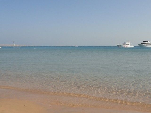 DSC01798