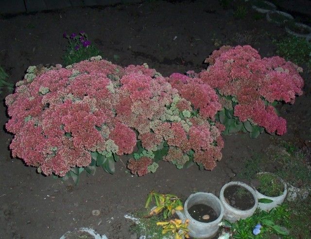Изображение 012
