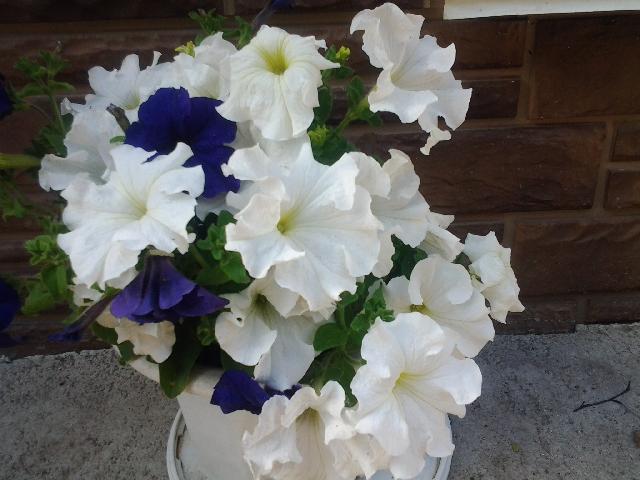 20150625 183809