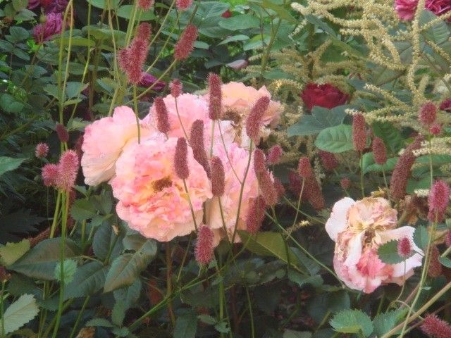 DSC04097