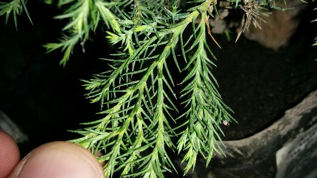 IMG 20150424 023407