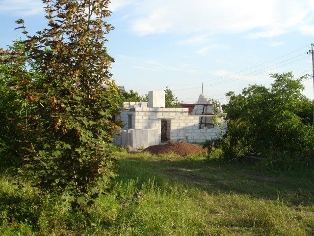 DSC07892