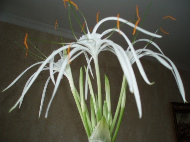 P2190006