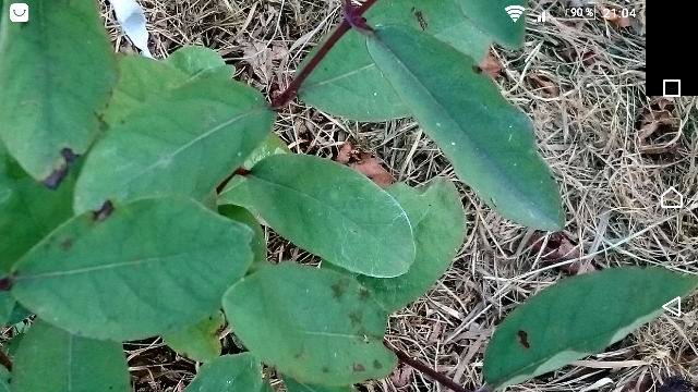 Screenshot 20160721 210421