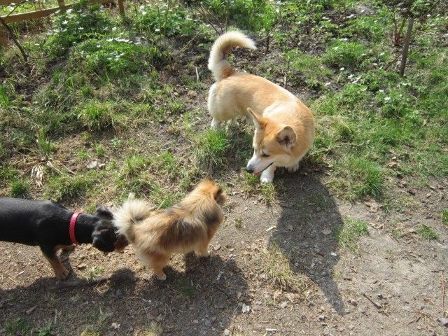 IMG 1469