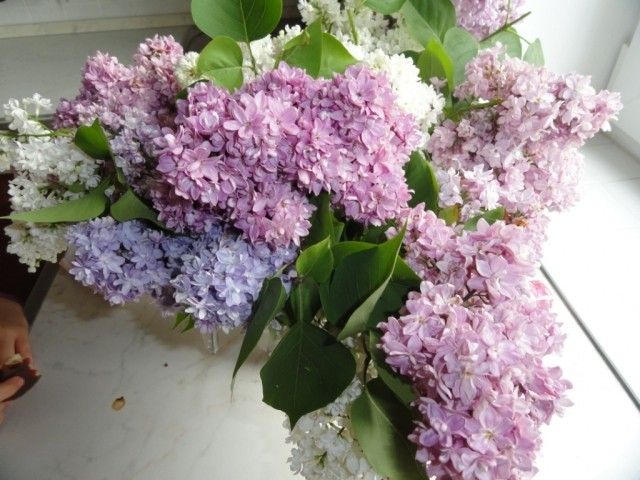 Изображение 076