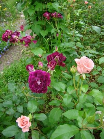 2013 06 21 001 260