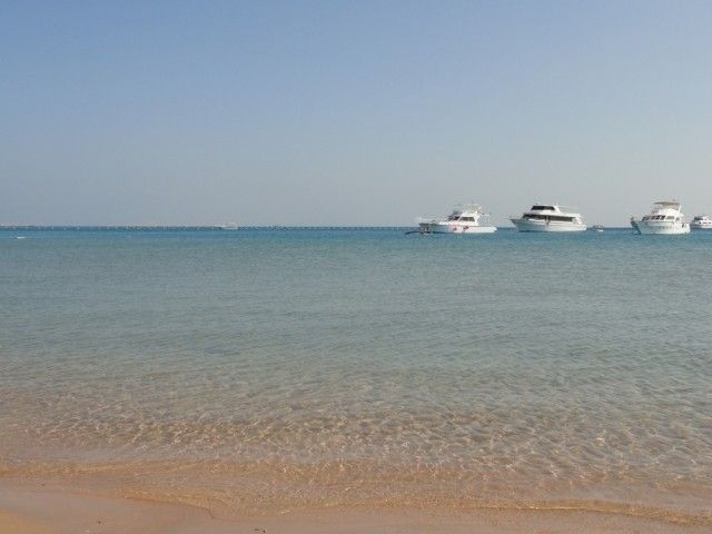 DSC01797
