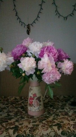 2013 07 06 0342