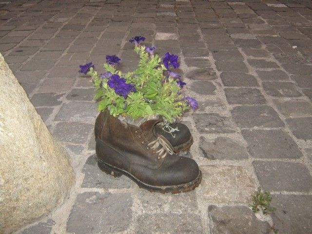 IMG 3982