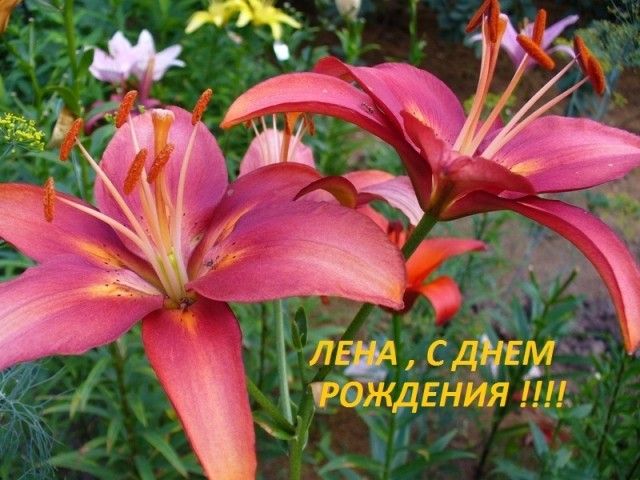 0 7bccd 57a912ff XL  2