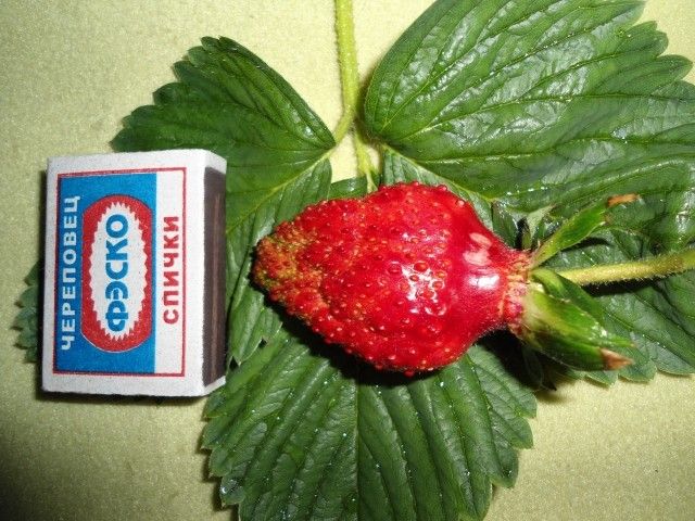 DSC00013