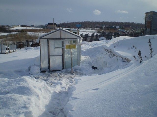 P3010001
