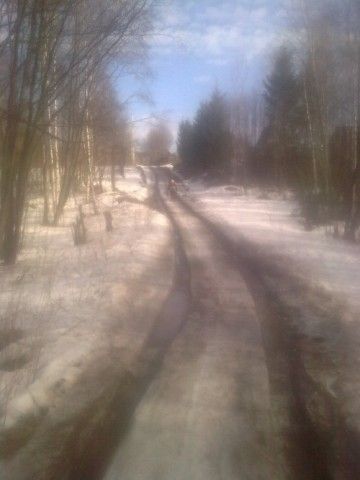 Представь  что это я лечу в сад