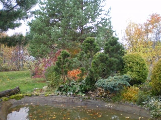 Изображение 039