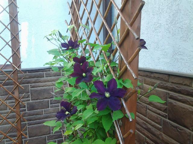20150624 082443