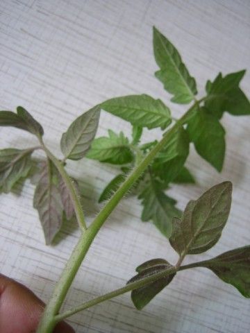 Изображение 023