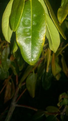 WP 20150727 21 04 10 Pro